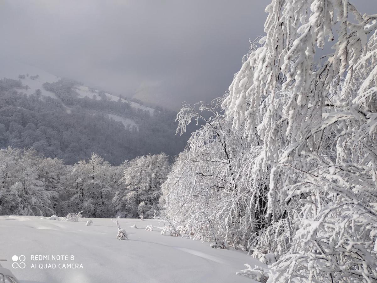 Sadyba Gostynniy Dvir Izki Exterior foto