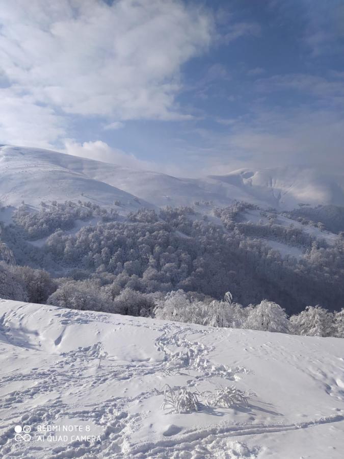 Sadyba Gostynniy Dvir Izki Exterior foto